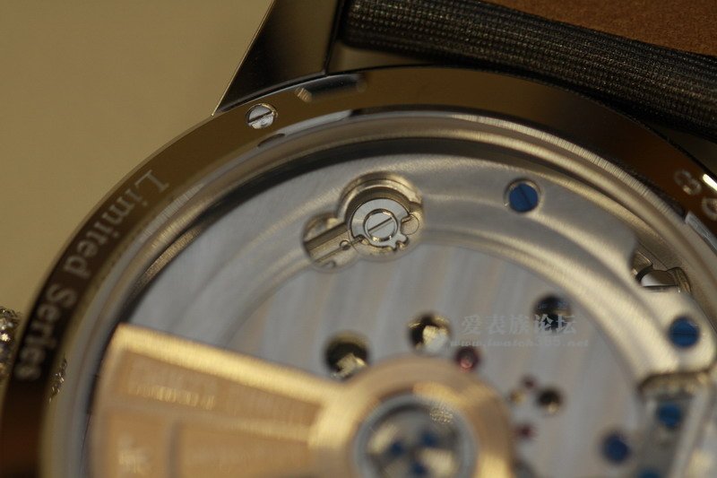 _MG_9484.JPG