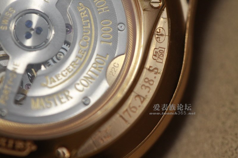 _MG_9542.JPG